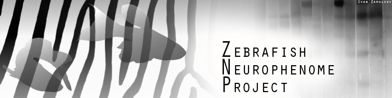 Zebrafish Neurophenome Database