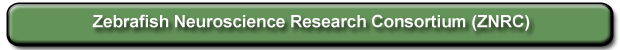 Zebrafish Neuroscience Research Consortium